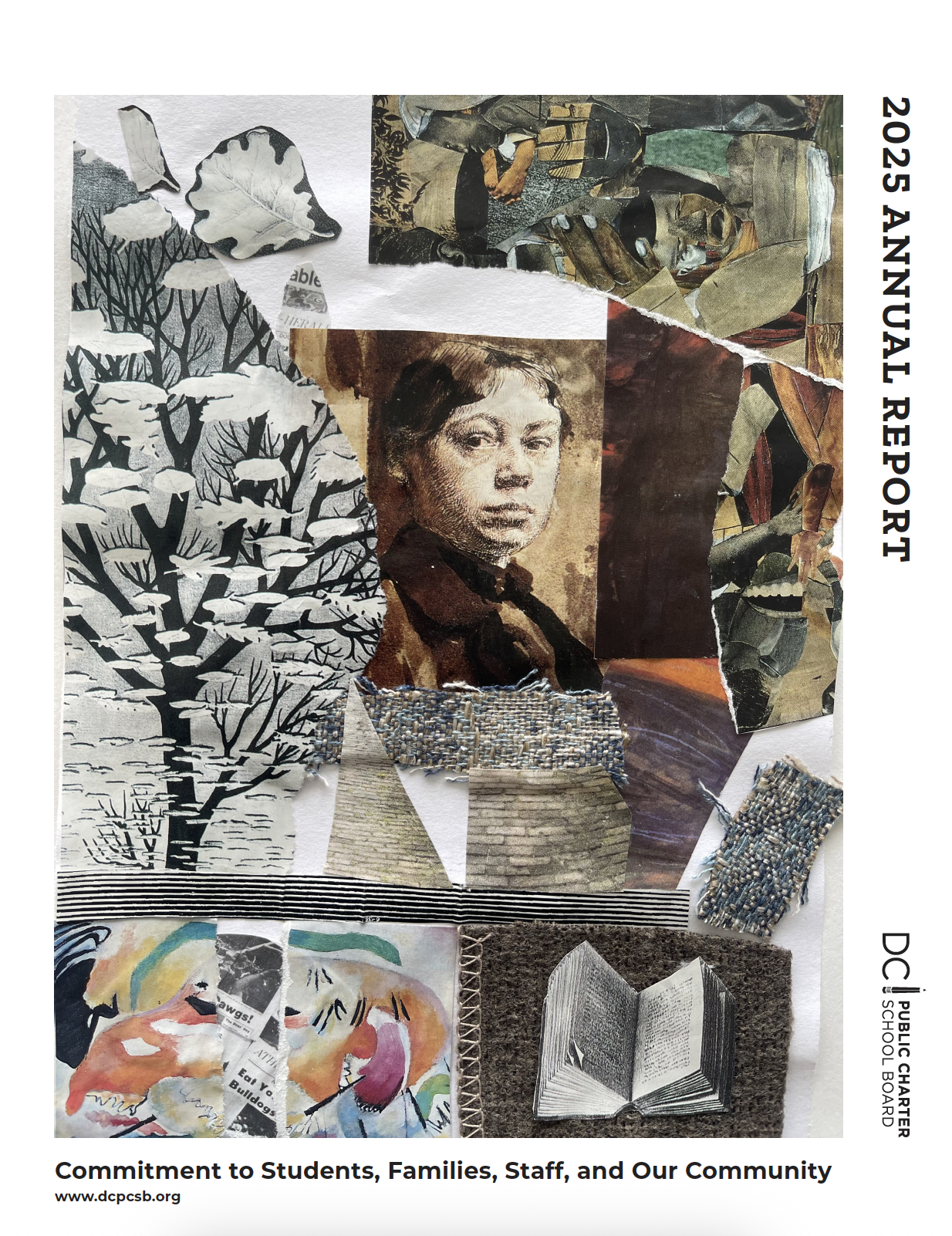 DC PCSB 2025 Annual Report