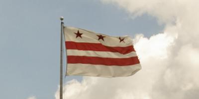 Media Name: dc_flags_1.5744bdaf47a4e_0.jpg