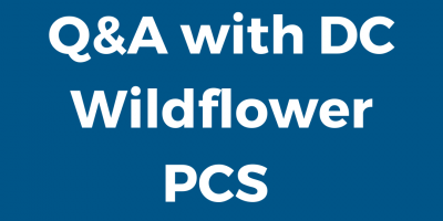 DC Wildflower Q & A