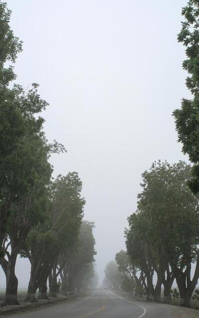 Example alt text for hero image.