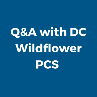 DC Wildflower Q & A