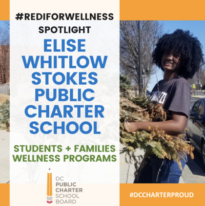 EW Stokes REDIforWellness Spotlight