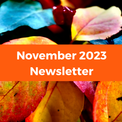 November Newsletter