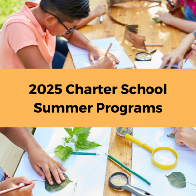 2025 Summer Programs Graphic