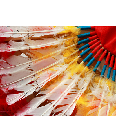 image of a traditional Native American ceremonial headdress