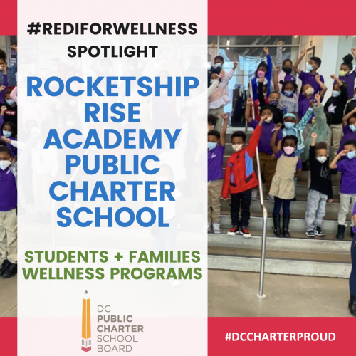 Rocketship Spotlight