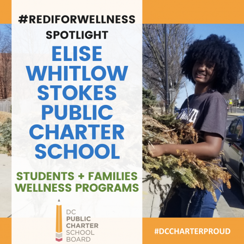 EW Stokes REDIforWellness Spotlight